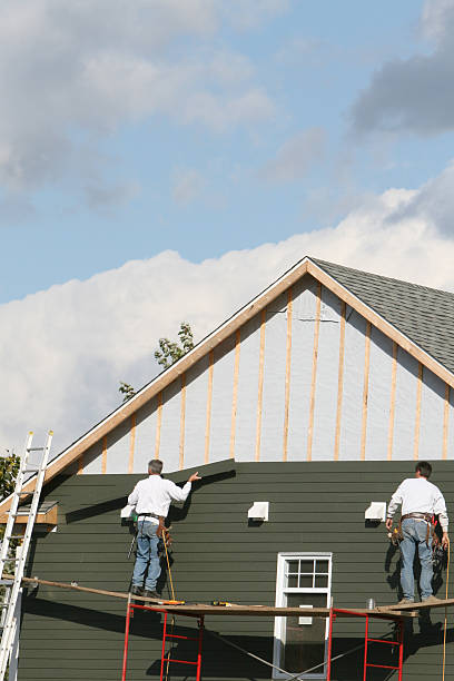 Best Shed Removal  in Binghamton, NY